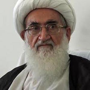 آيت الله نوري همداني : دنيا مبهوت حضور ايرانيان شد